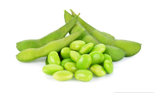 野扁豆根治什么病最好-野扁豆秧的功效与作用-专业陕北中药材野扁豆根功效平台-野扁豆别名
