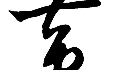 野扁豆秧的功效与作用-专业陕北中药材野扁豆根功效平台-野扁豆别名