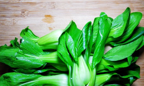 野扁豆秧的功效与作用-专业陕北中药材野扁豆根功效平台-野扁豆别名